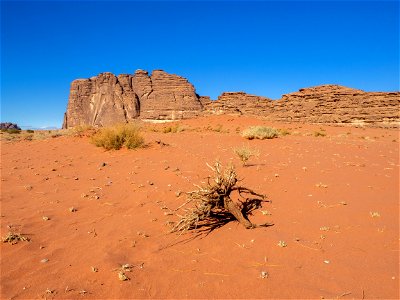 Arabia2022_206.jpg