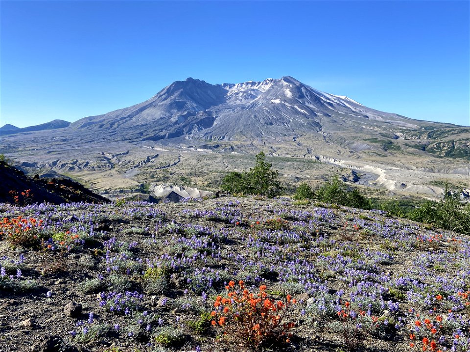 Mt. St. Helens in WA