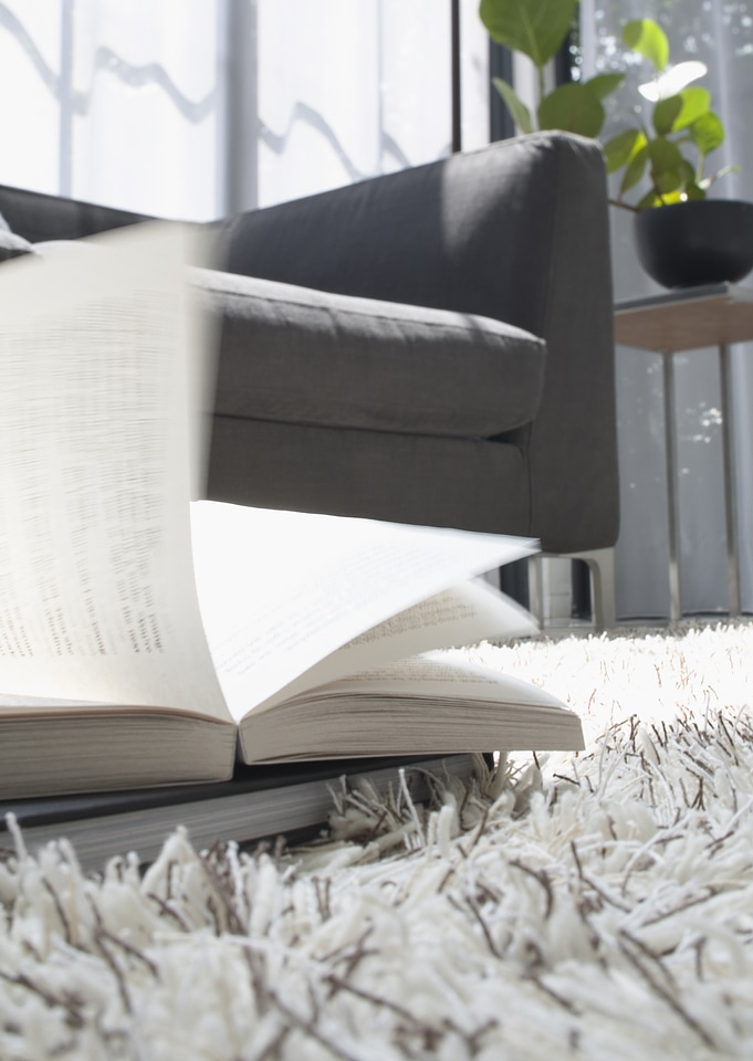 Book on shaggy carpet.