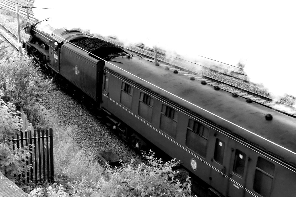 60103 Flying Scotsman at Oakleigh Park with 'The White Rose'