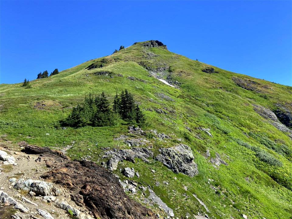 Yellow Aster Butte in WA