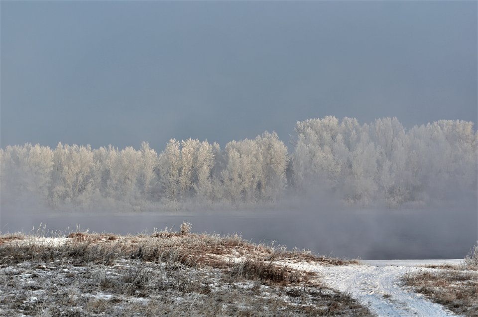 foggy frosty morning on the river bank photo