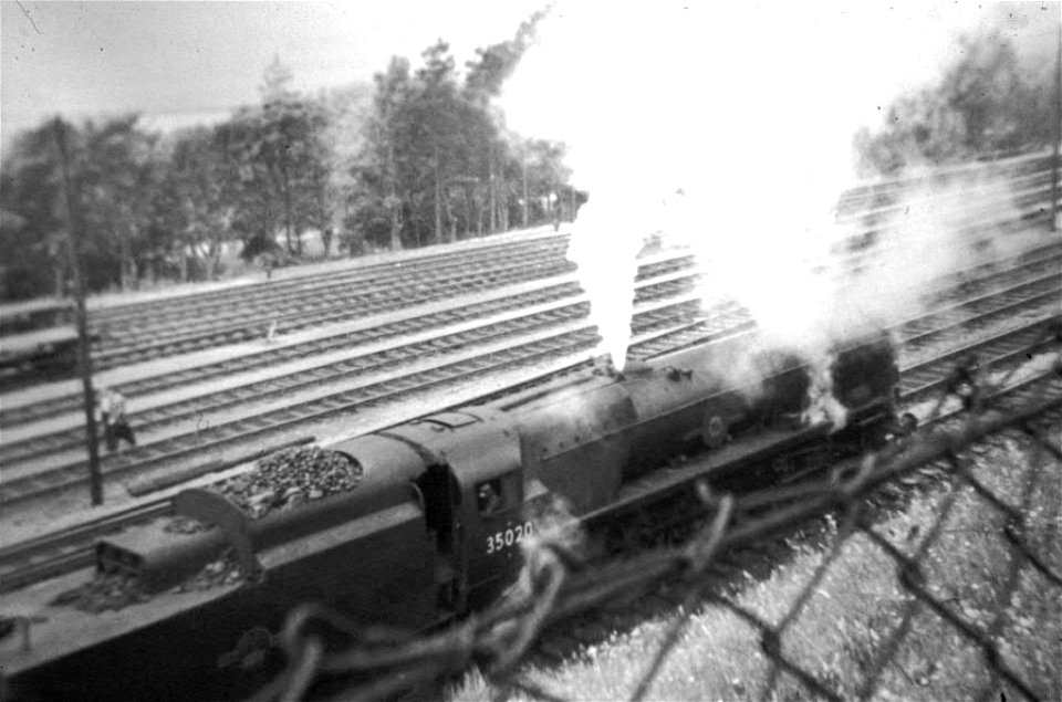 35020 Bibby Line at Weymouth 1963