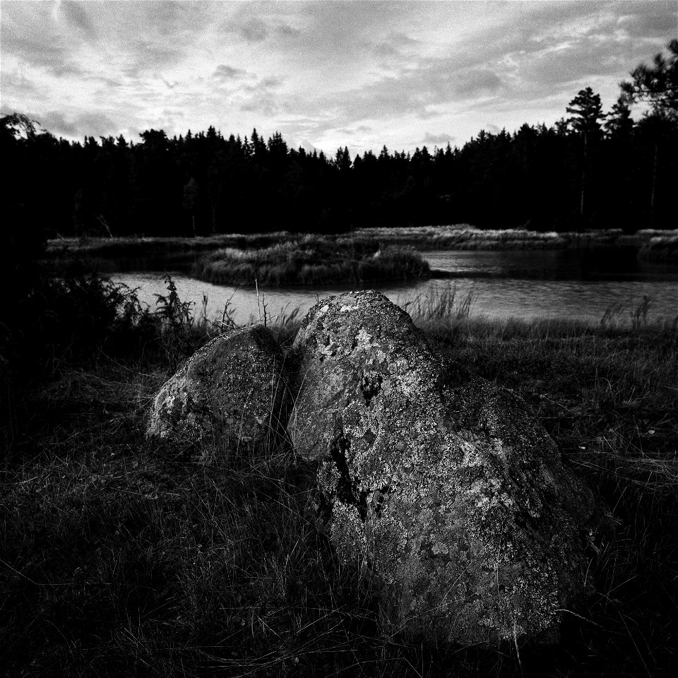 A lake in late August photo