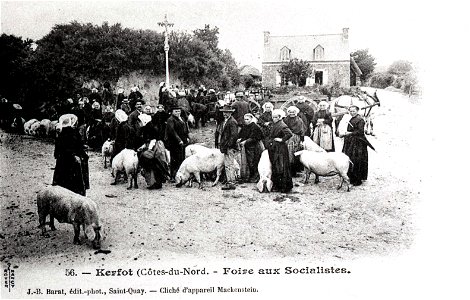 KERFOT marché aux cochons vers 1900 photo