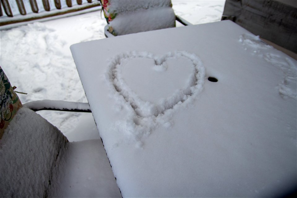 Winter Snow
