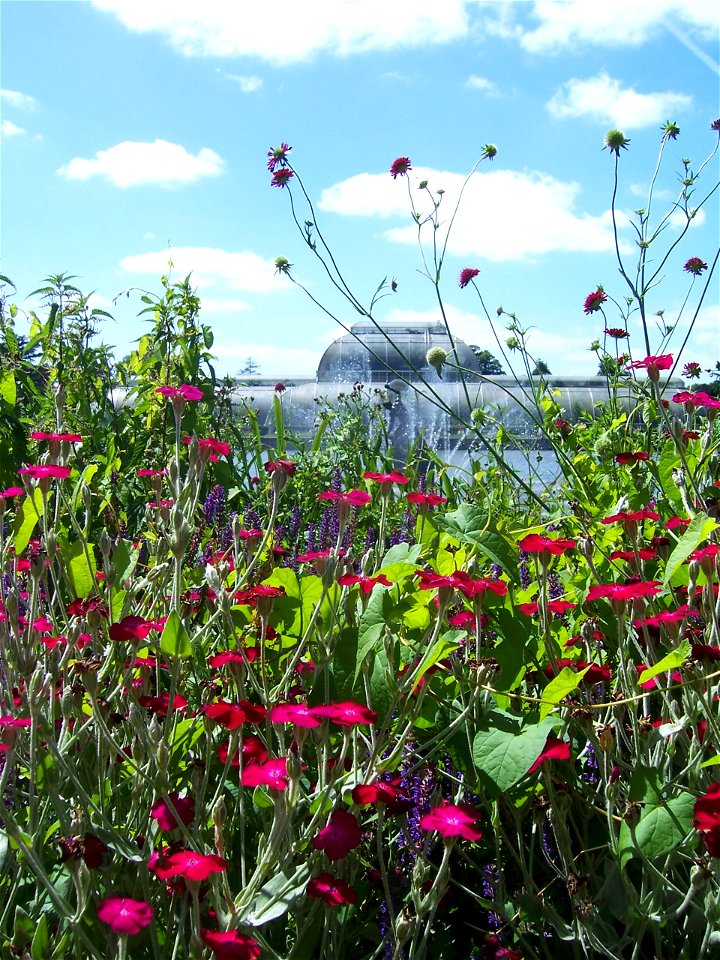 Kew Gardens