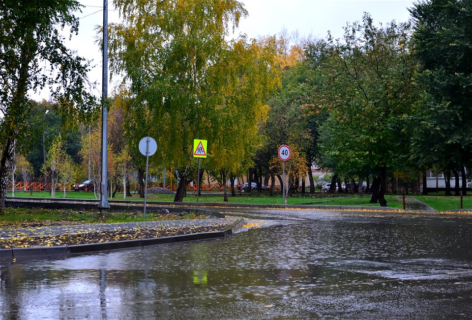 city streets on a rainy autumn day