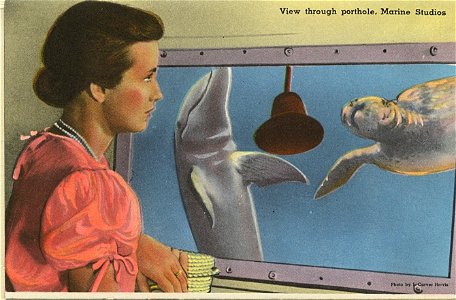 View Through Porthole, Marine Studios Marineland, Florida