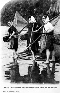 Saint-Brieuc Pêcheuses de crevettes vers 1900 photo