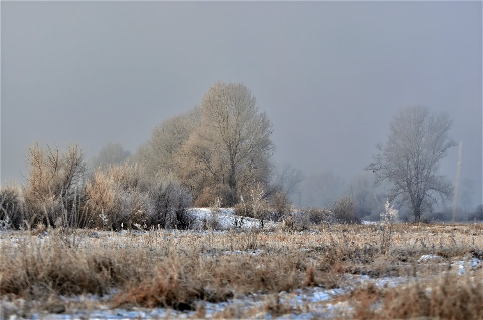 foggy frosty morning on the river bank photo