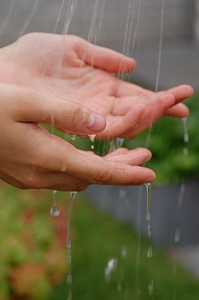 Water drops of water freshness photo