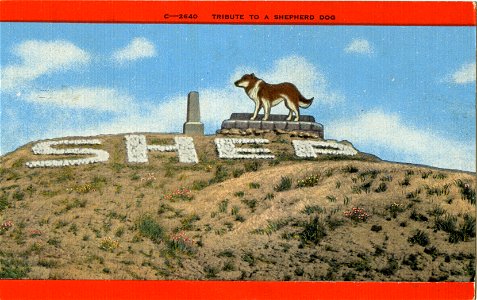 Shep, Tribute To A Shepherd Dog, Fort Benton, Montana