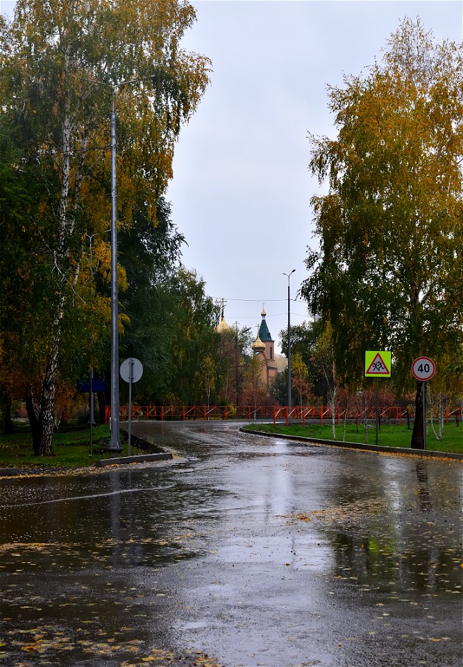 city streets on a rainy autumn day