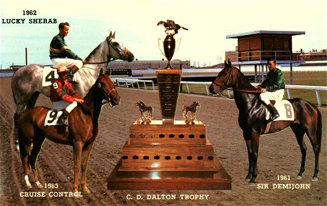 Invitation, Saskatchewan Derby photo