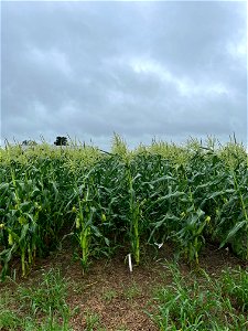 IMG_9356