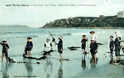 Trestraou la pêche aux algues CIRCA 1910 photo