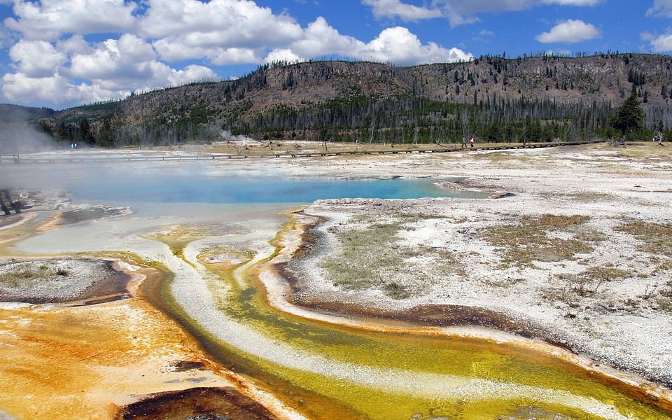 Hot springs in Yellowstone National Park, Wyoming