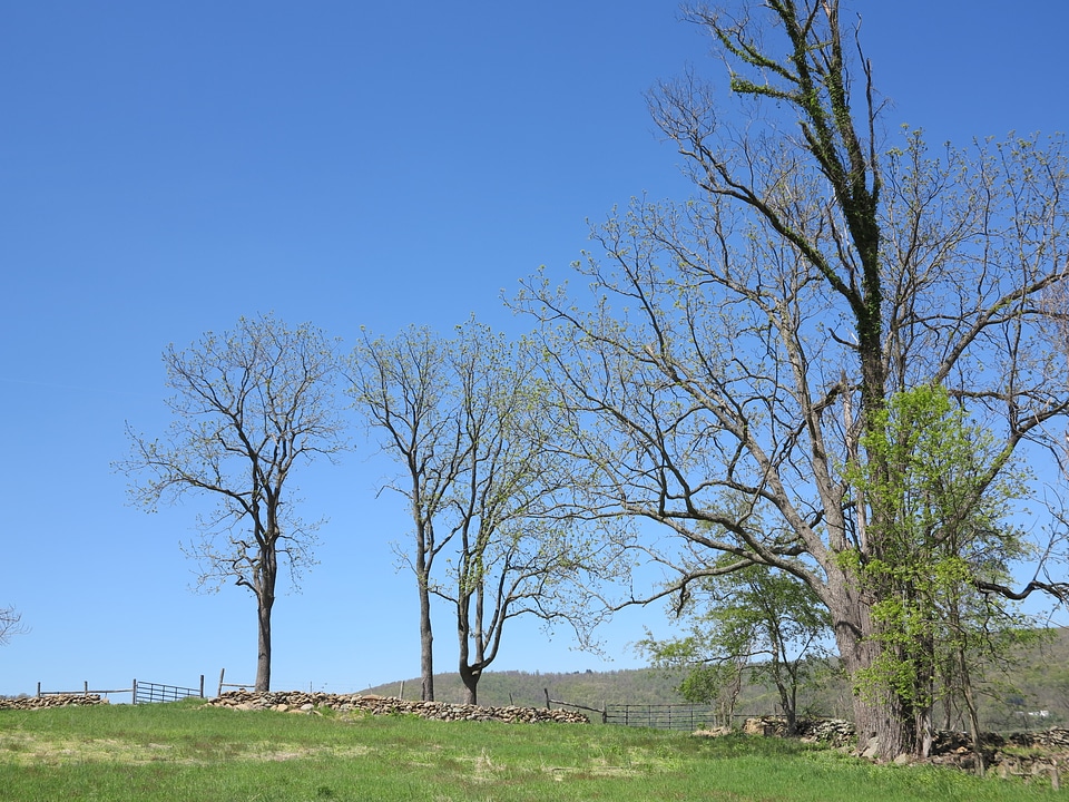 Sky Meadows State Park