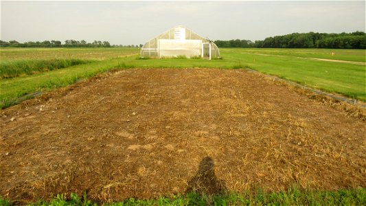 HT1C-tarp-removed