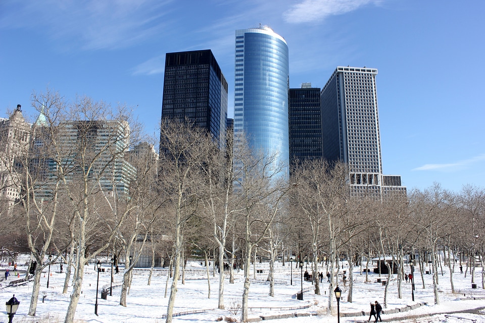 Battery Park under december's snow