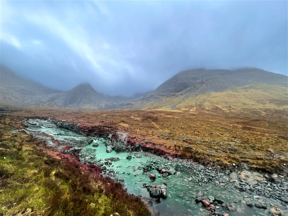 Scottish Highland