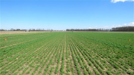 K3 rye plot 101-103