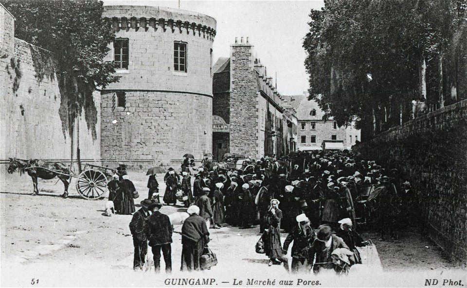 CPA 1900 Guingamp Le marché aux porcs photo