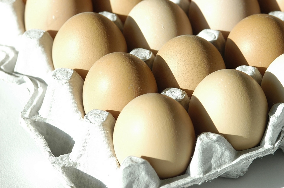egg on carton package