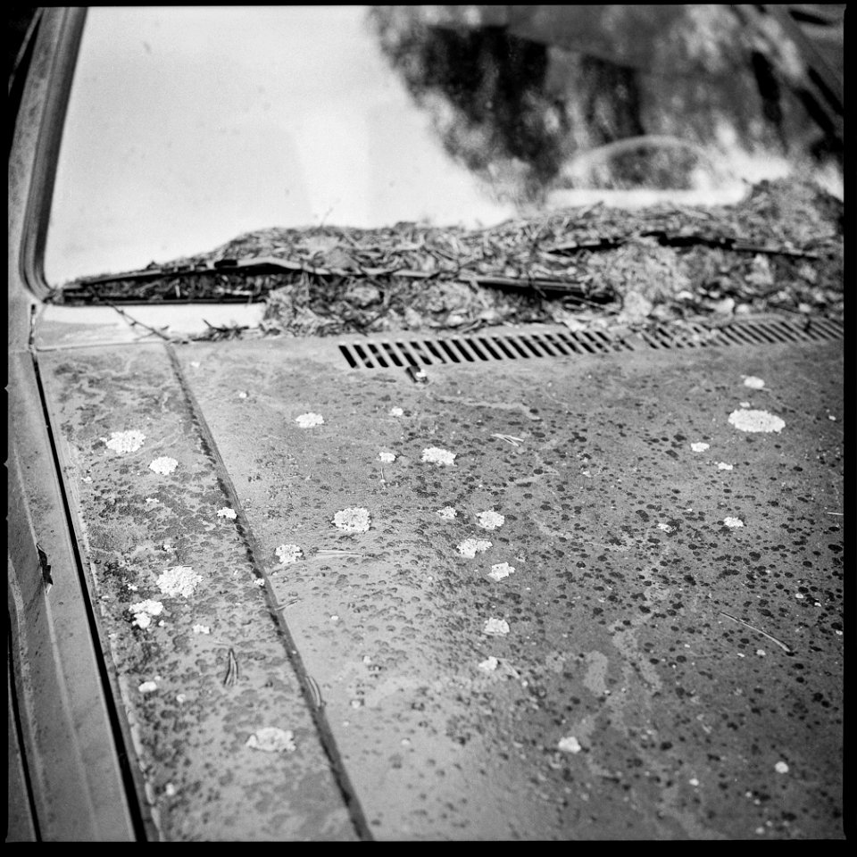 Abandoned Volkswagen