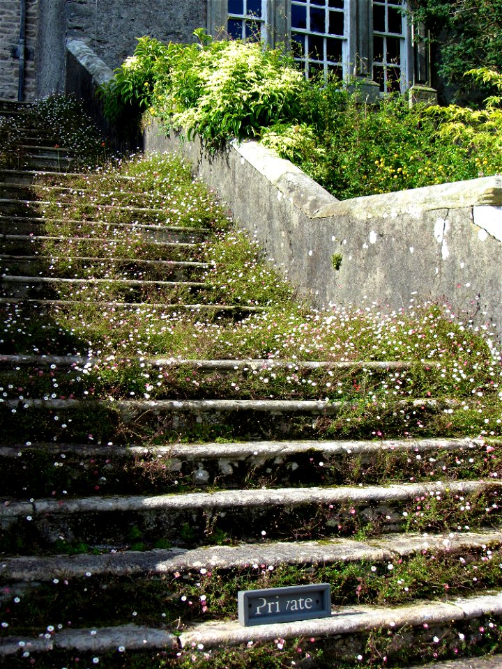 Sizergh Castle, Cumbria