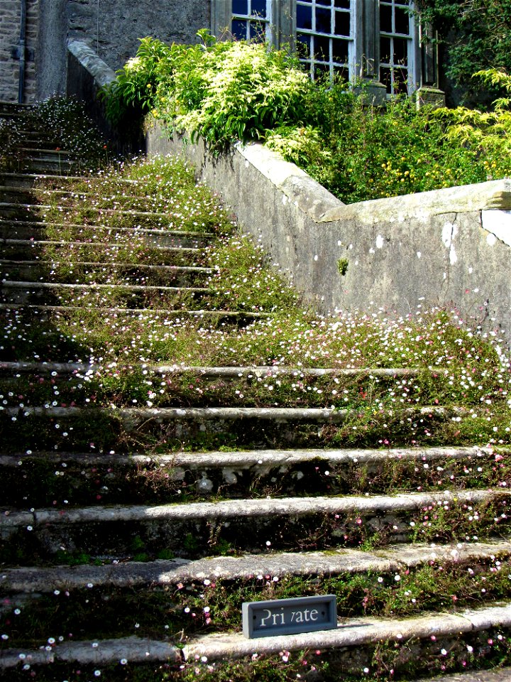 Sizergh Castle, Cumbria photo