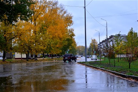 city streets on a rainy autumn day