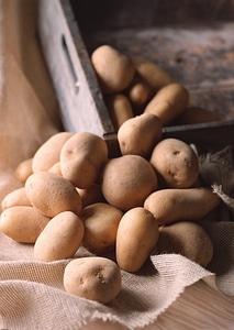 Farm fresh baby potatoes displayed on a hessian sack on a rustic photo