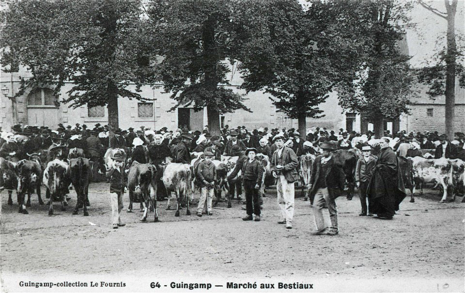GUINGAMP un marché vers 1900
