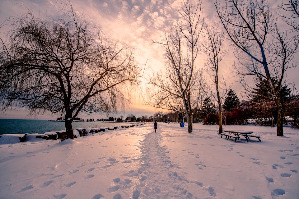 Lakeshore of Lake Ontario Toronto