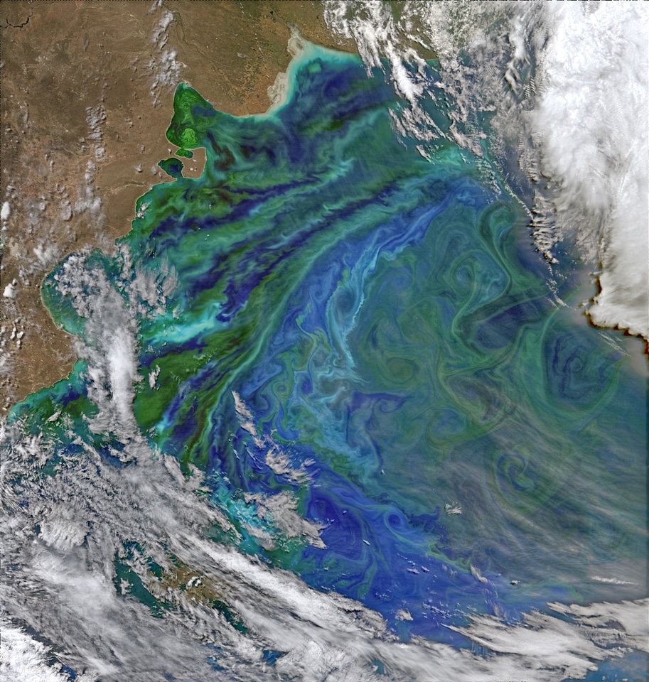 Colorful and Plankton-Full Patagonian Waters