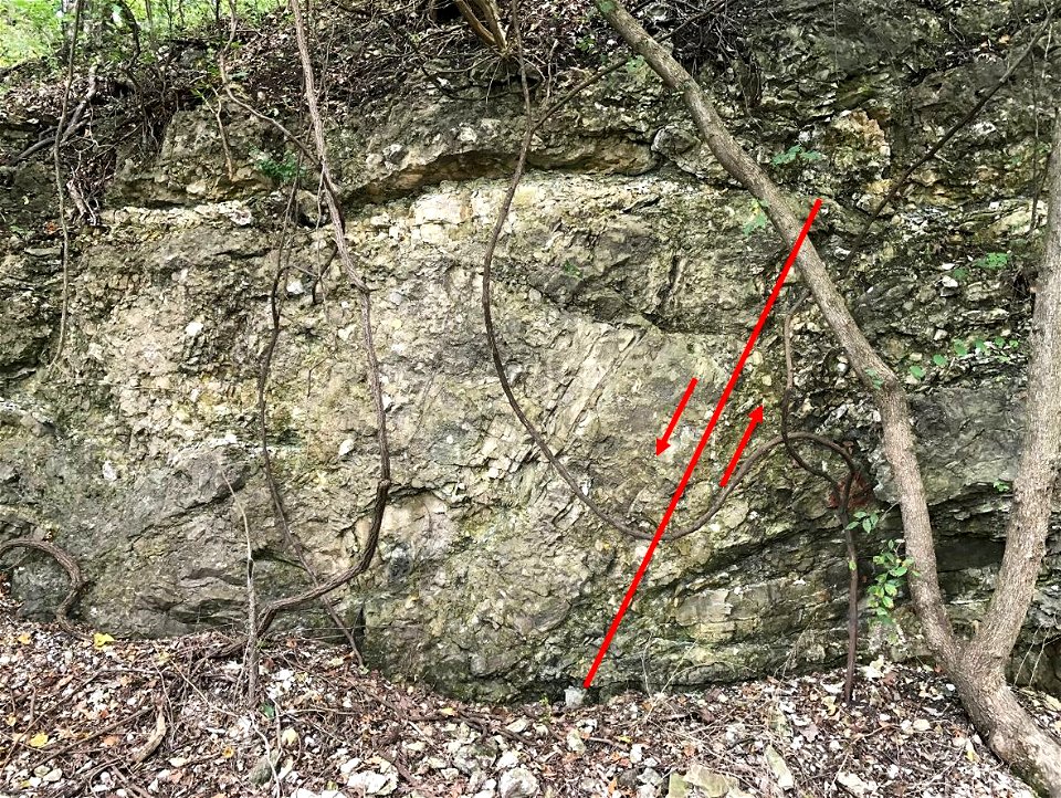 normal fault with 4 foot offset in Jefferson City-Cotter Dolomite - JC to Marthasville