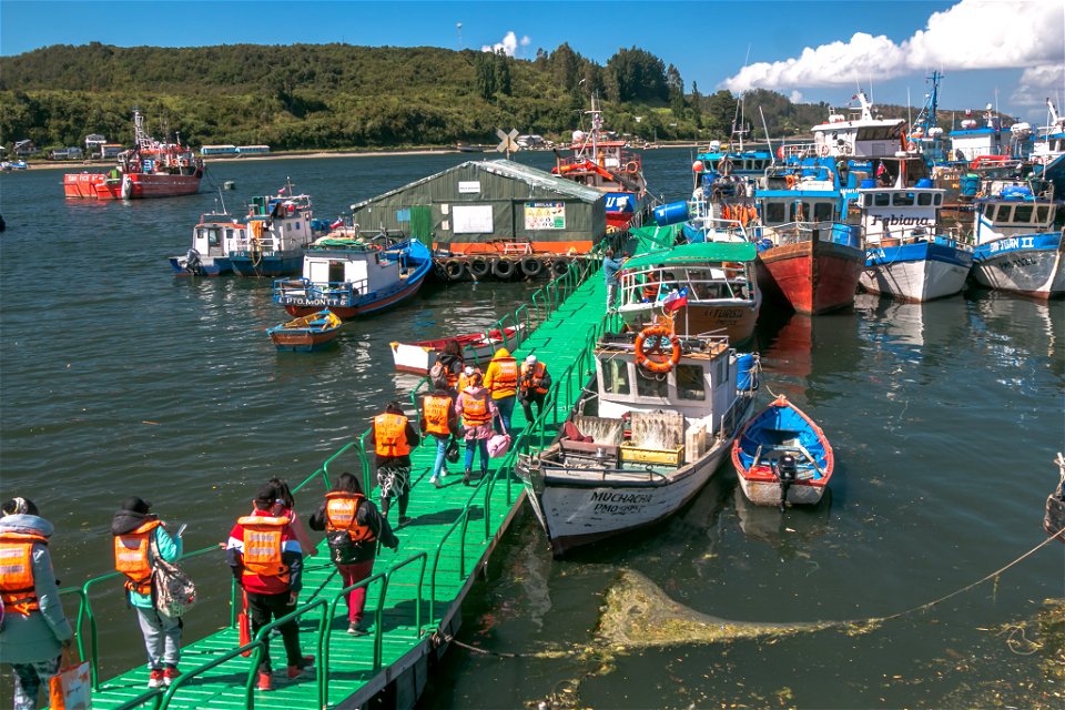 Tour por el Canal de Tenglo_Caleta de Pescadores Anahuac.jpg