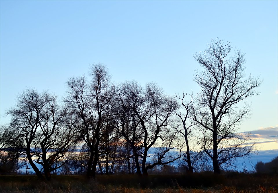 autumn landscape