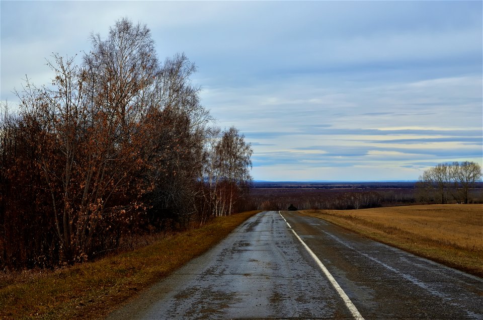 the road goes along the autumn forest