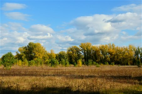 a walk along the Yenisei on an autumn day photo