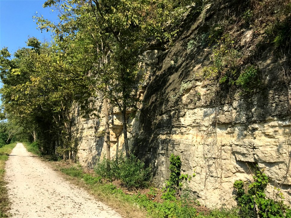 Jefferson City-Cotter Dolomite Outcrop