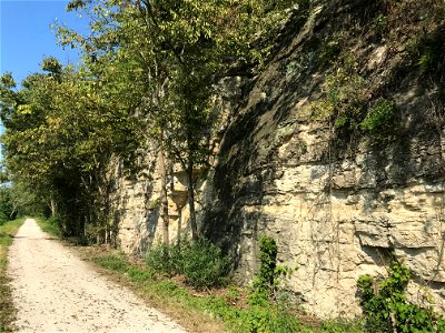 Jefferson City-Cotter Dolomite Outcrop