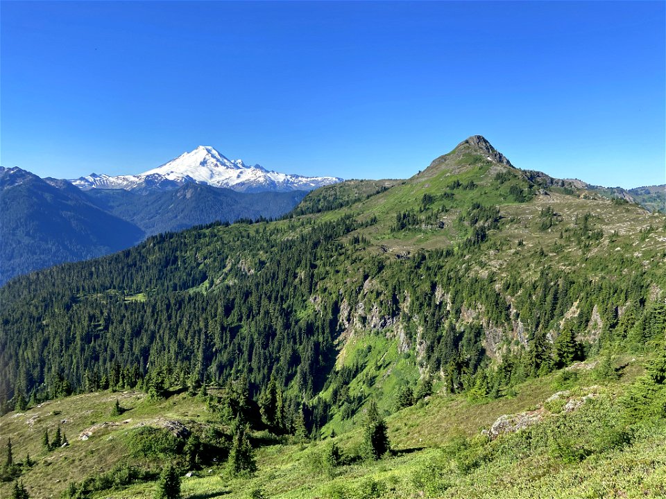 Yellow Aster Butte in WA