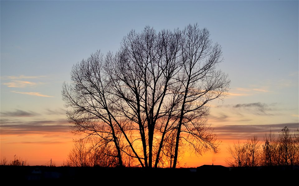 autumn forest at sunset