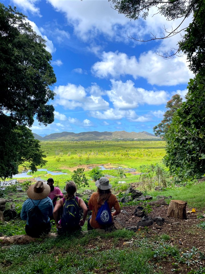 Kawainui Marsh Wildlife Sanctuary Oahu