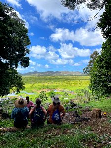 Kawainui Marsh Wildlife Sanctuary Oahu photo