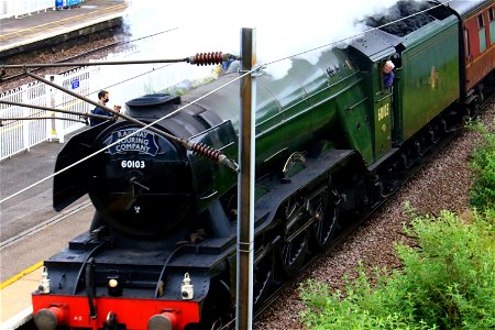 60103 Flying Scotsman at Oakleigh Park with 'The White Rose'