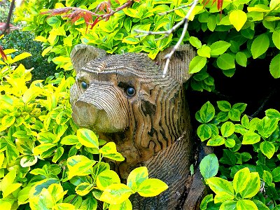 Bear Chainsaw Sculpture, 2022 photo